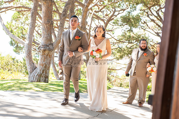 Fanny and Gustavo wedding celebration photography and videograph
