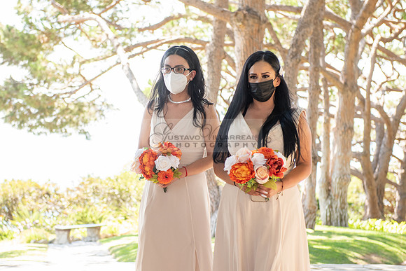 Fanny and Gustavo wedding celebration photography and videograph