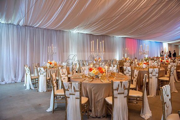 Fanny and Gustavo wedding celebration photography and videograph