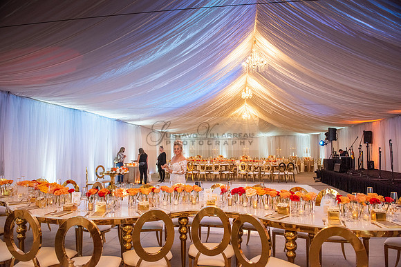 Fanny and Gustavo wedding celebration photography and videograph