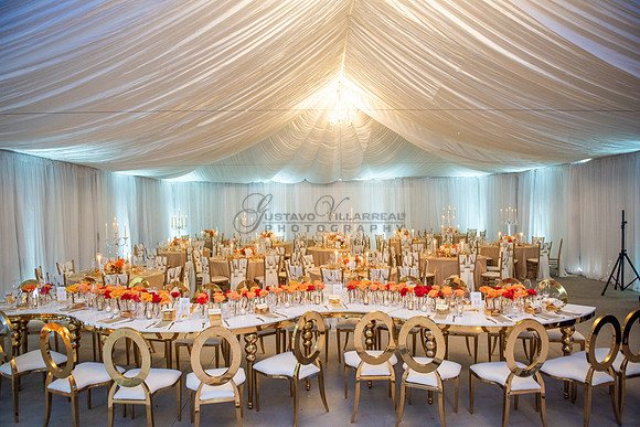 Fanny and Gustavo wedding celebration photography and videograph