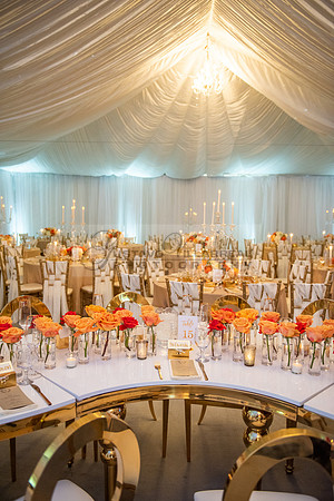 Fanny and Gustavo wedding celebration photography and videograph