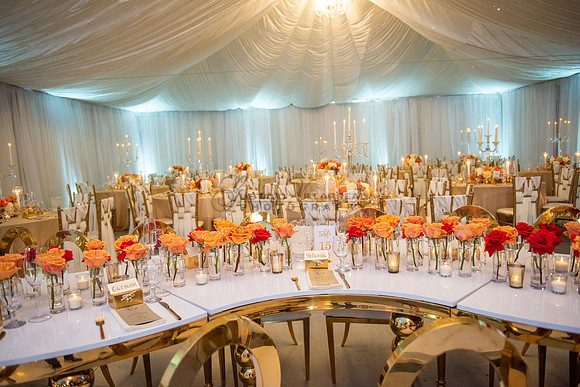 Fanny and Gustavo wedding celebration photography and videograph