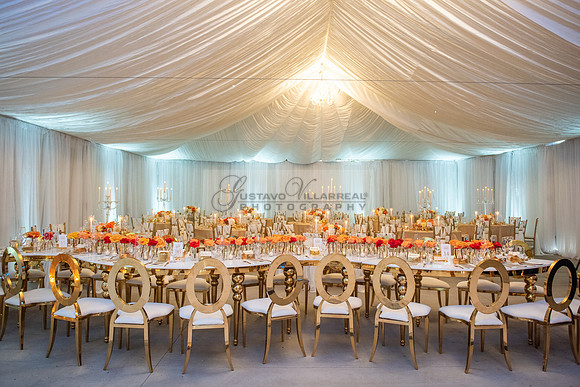 Fanny and Gustavo wedding celebration photography and videograph
