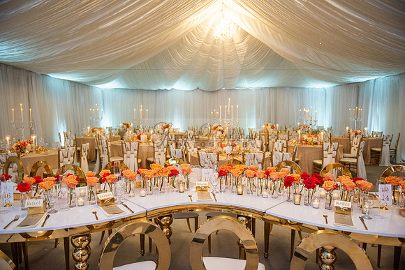 Fanny and Gustavo wedding celebration photography and videograph