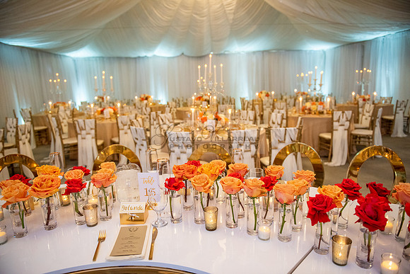 Fanny and Gustavo wedding celebration photography and videograph