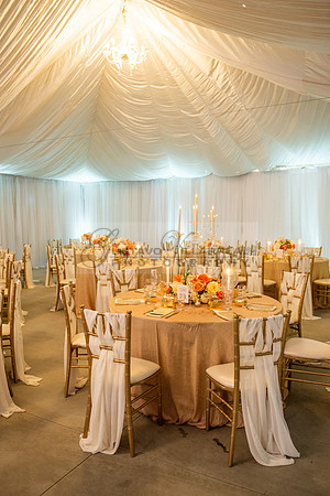 Fanny and Gustavo wedding celebration photography and videograph