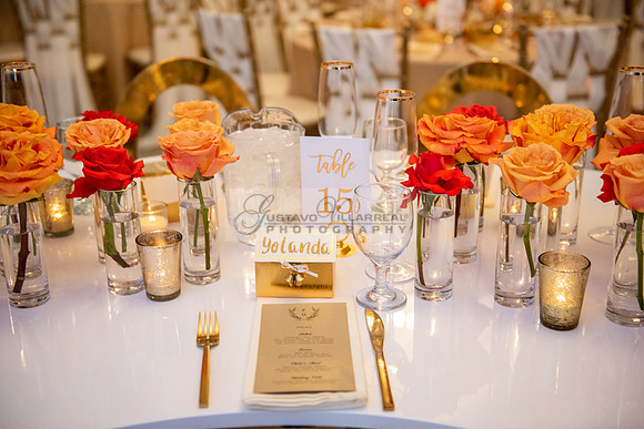 Fanny and Gustavo wedding celebration photography and videograph