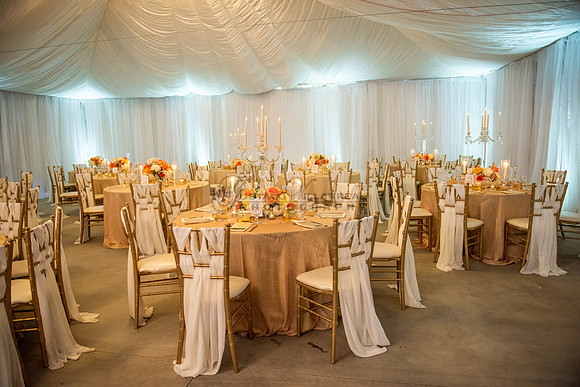 Fanny and Gustavo wedding celebration photography and videograph