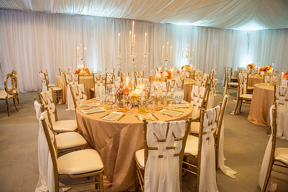 Fanny and Gustavo wedding celebration photography and videograph