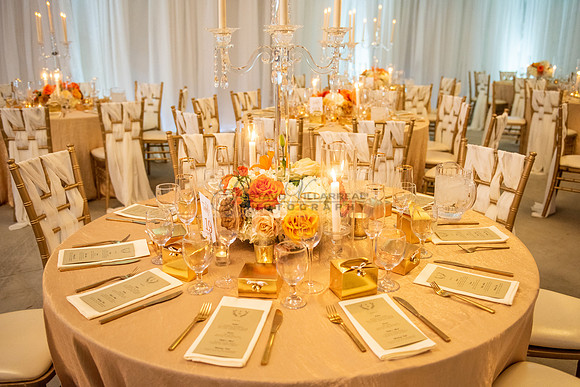 Fanny and Gustavo wedding celebration photography and videograph
