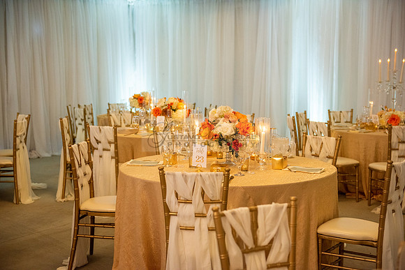 Fanny and Gustavo wedding celebration photography and videograph