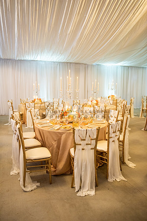 Fanny and Gustavo wedding celebration photography and videograph