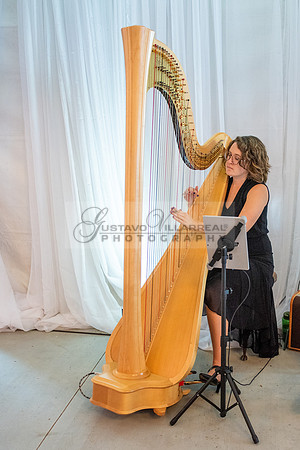 Fanny and Gustavo wedding celebration photography and videograph