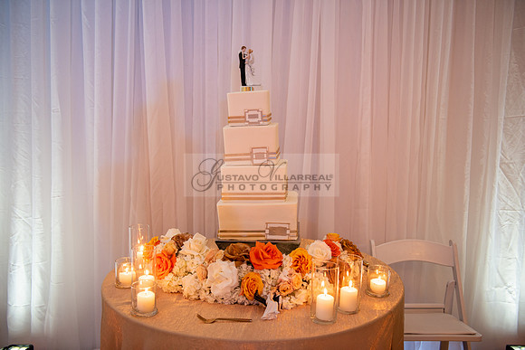 Fanny and Gustavo wedding celebration photography and videograph