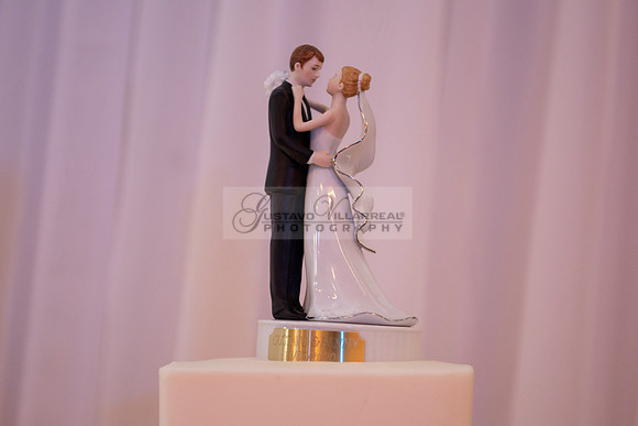 Fanny and Gustavo wedding celebration photography and videograph