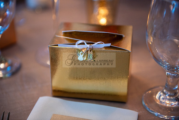 Fanny and Gustavo wedding celebration photography and videograph