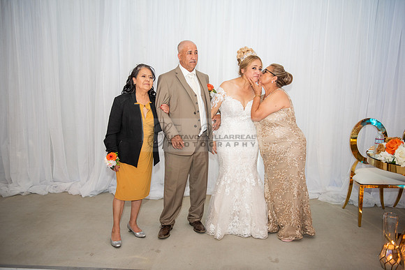 Fanny and Gustavo wedding celebration photography and videograph