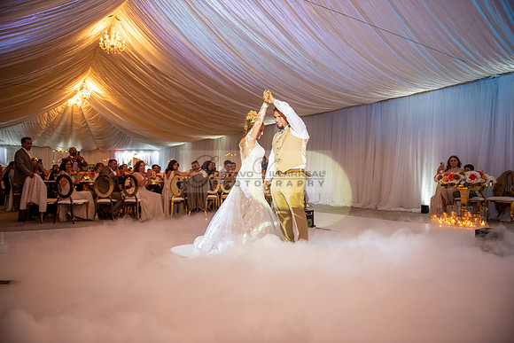 Fanny and Gustavo wedding celebration photography and videograph