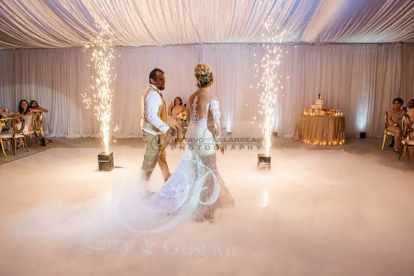 Fanny and Gustavo wedding celebration photography and videograph