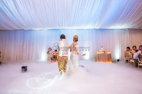 Fanny and Gustavo wedding celebration photography and videograph