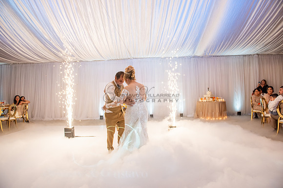 Fanny and Gustavo wedding celebration photography and videograph