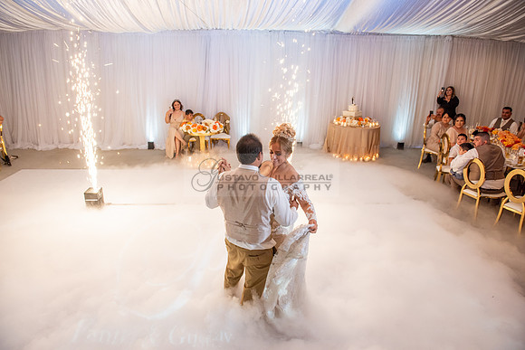 Fanny and Gustavo wedding celebration photography and videograph