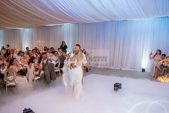 Fanny and Gustavo wedding celebration photography and videograph