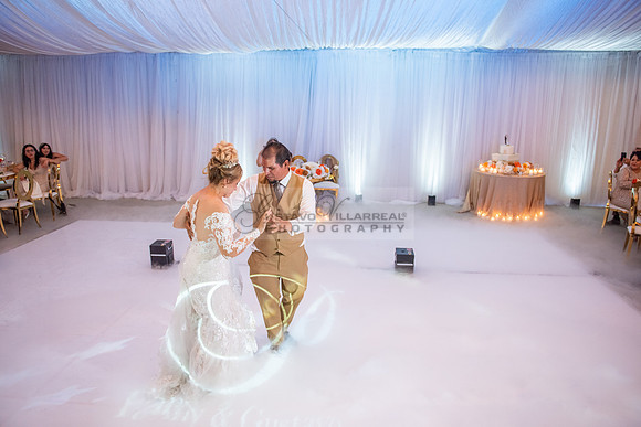 Fanny and Gustavo wedding celebration photography and videograph