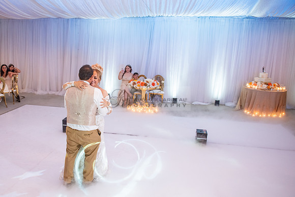Fanny and Gustavo wedding celebration photography and videograph