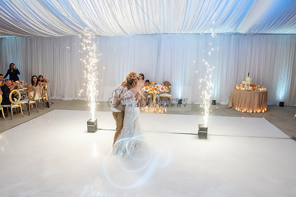 Fanny and Gustavo wedding celebration photography and videograph