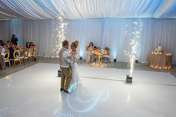 Fanny and Gustavo wedding celebration photography and videograph