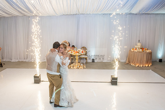 Fanny and Gustavo wedding celebration photography and videograph