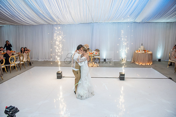 Fanny and Gustavo wedding celebration photography and videograph