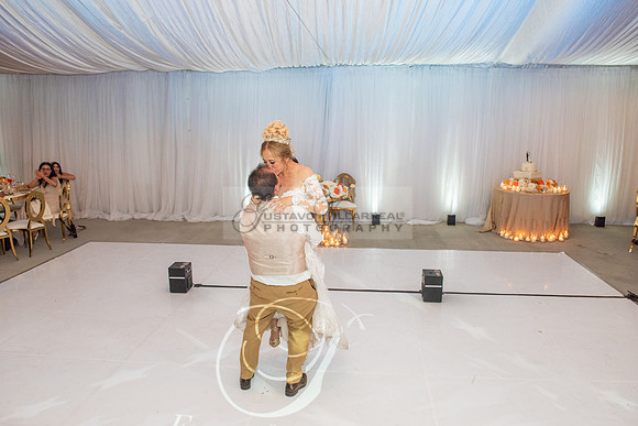 Fanny and Gustavo wedding celebration photography and videograph