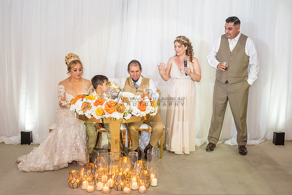 Fanny and Gustavo wedding celebration photography and videograph