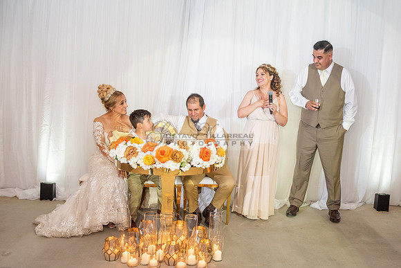 Fanny and Gustavo wedding celebration photography and videograph