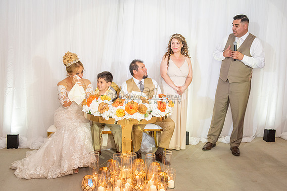 Fanny and Gustavo wedding celebration photography and videograph