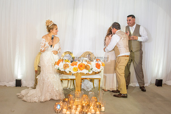 Fanny and Gustavo wedding celebration photography and videograph