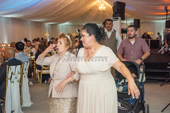 Fanny and Gustavo wedding celebration photography and videograph