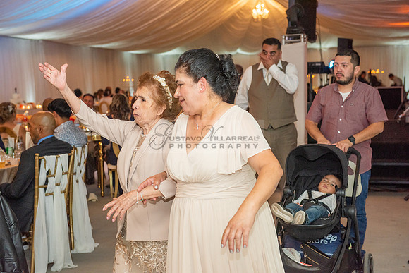 Fanny and Gustavo wedding celebration photography and videograph