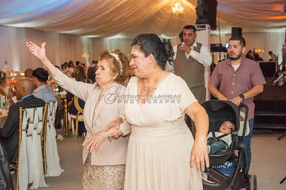 Fanny and Gustavo wedding celebration photography and videograph
