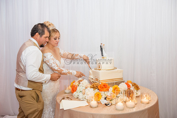 Fanny and Gustavo wedding celebration photography and videograph