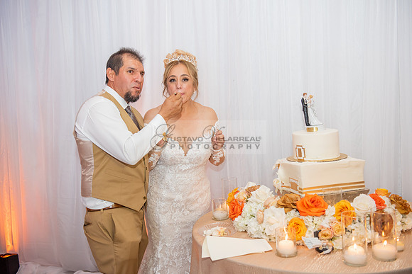 Fanny and Gustavo wedding celebration photography and videograph