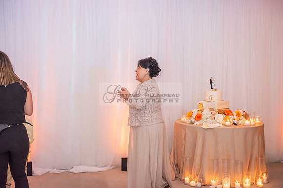 Fanny and Gustavo wedding celebration photography and videograph