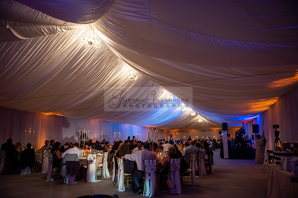 Fanny and Gustavo wedding celebration photography and videograph
