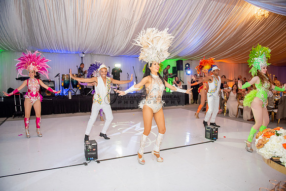 Fanny and Gustavo wedding celebration photography and videograph