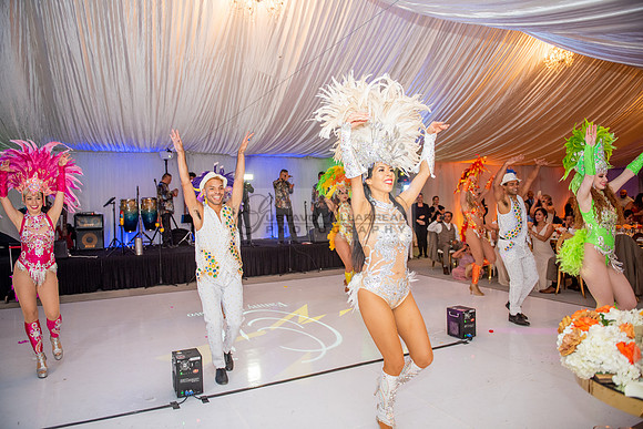 Fanny and Gustavo wedding celebration photography and videograph