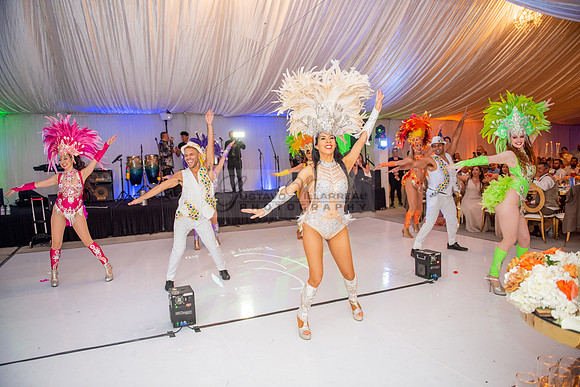 Fanny and Gustavo wedding celebration photography and videograph