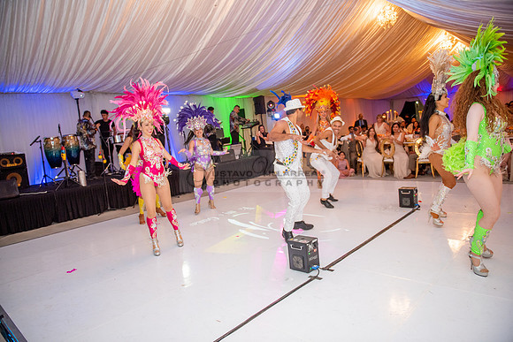 Fanny and Gustavo wedding celebration photography and videograph